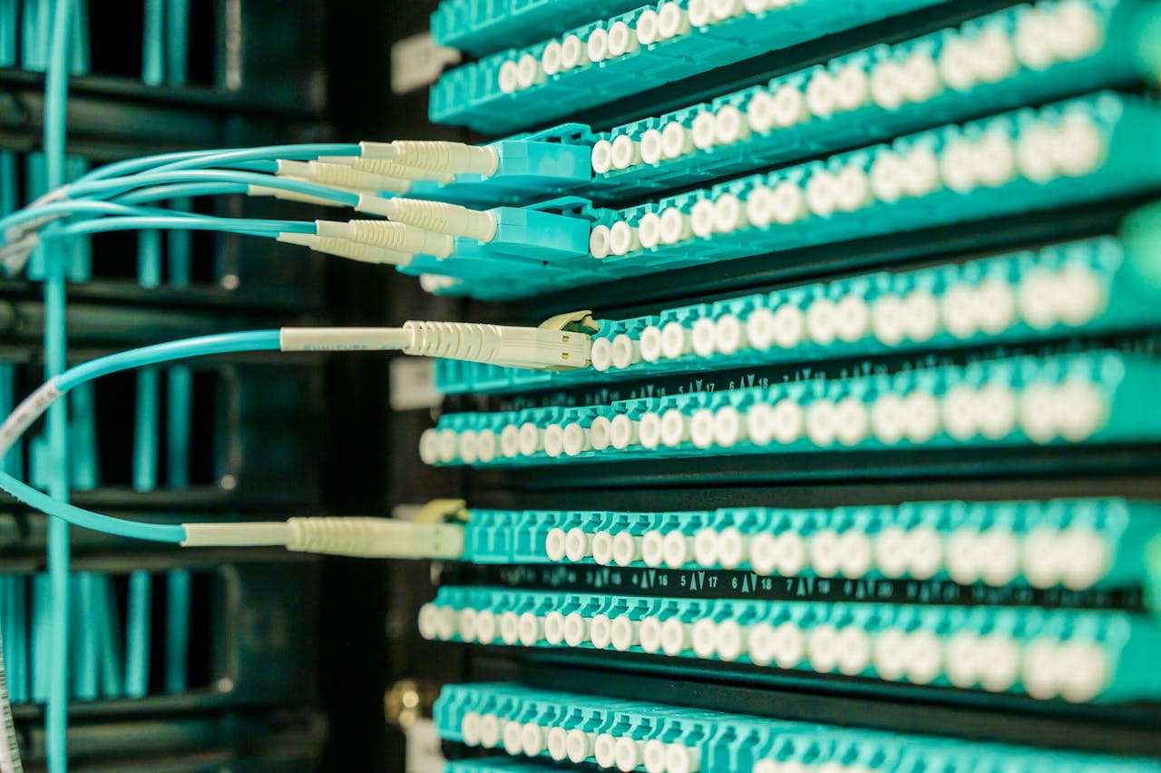 home-img Networking cables plugged into a patch panel, showcasing data center connectivity.